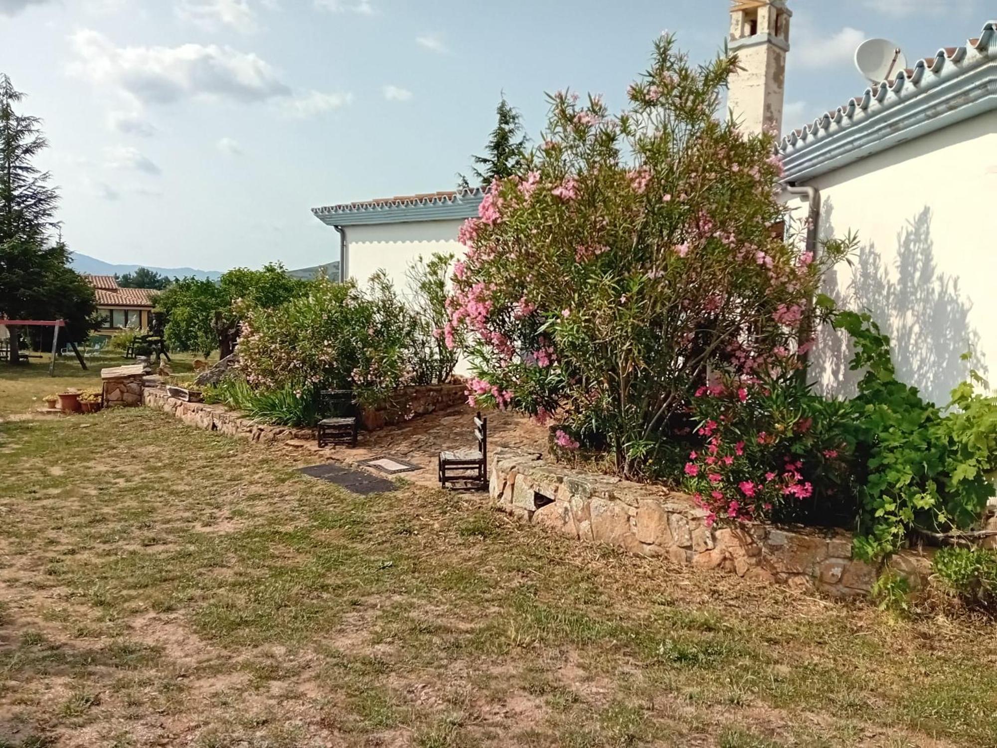 Lugori Bed and Breakfast Seùlo Buitenkant foto
