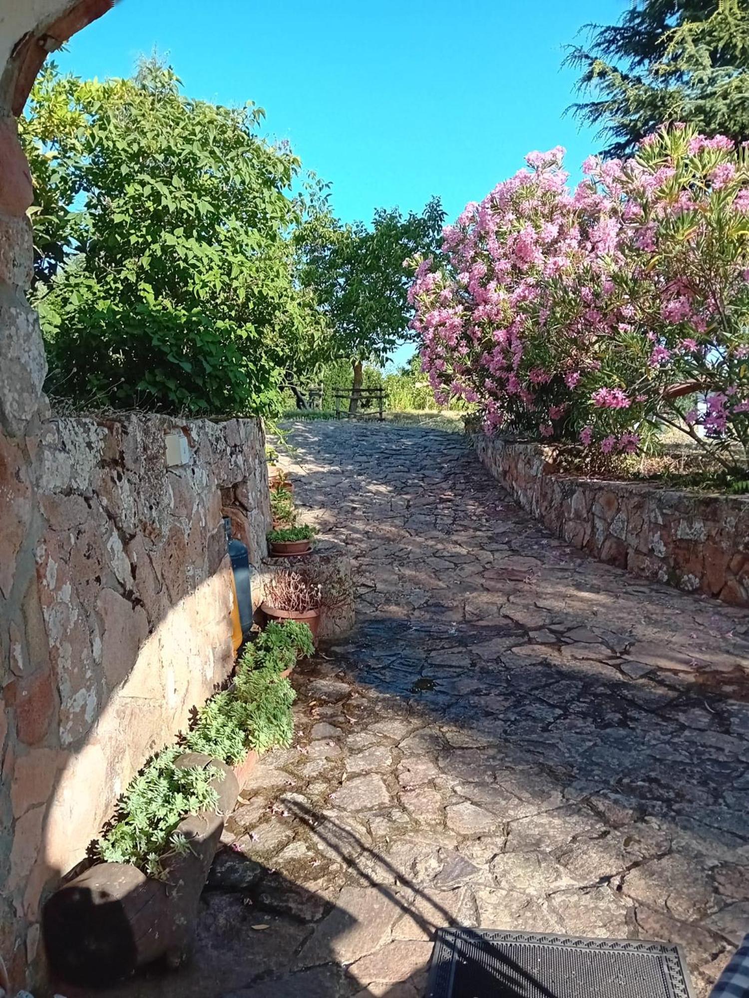 Lugori Bed and Breakfast Seùlo Buitenkant foto