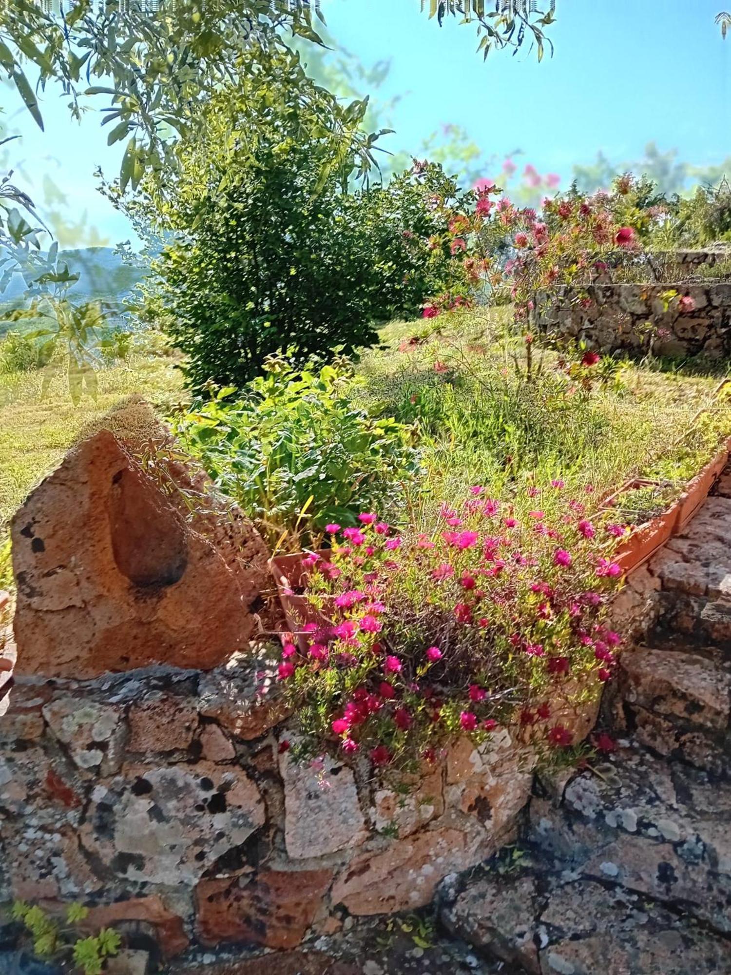 Lugori Bed and Breakfast Seùlo Buitenkant foto